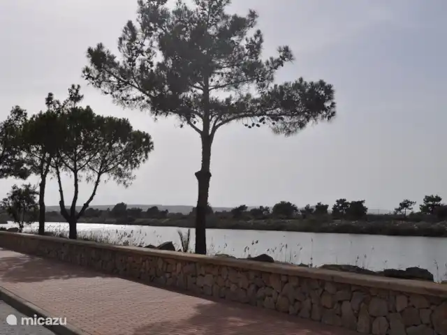 Maison de plage Playa Argentina | Espagne, Costa Blanca, Guardamar del Segura - maison de vacances Environnement
