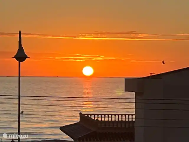 Maison de plage Playa Argentina | Espagne, Costa Blanca, Guardamar del Segura - maison de vacances Lever du soleil depuis votre chambre