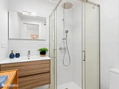 Private bathroom with shower, toilet and sink
