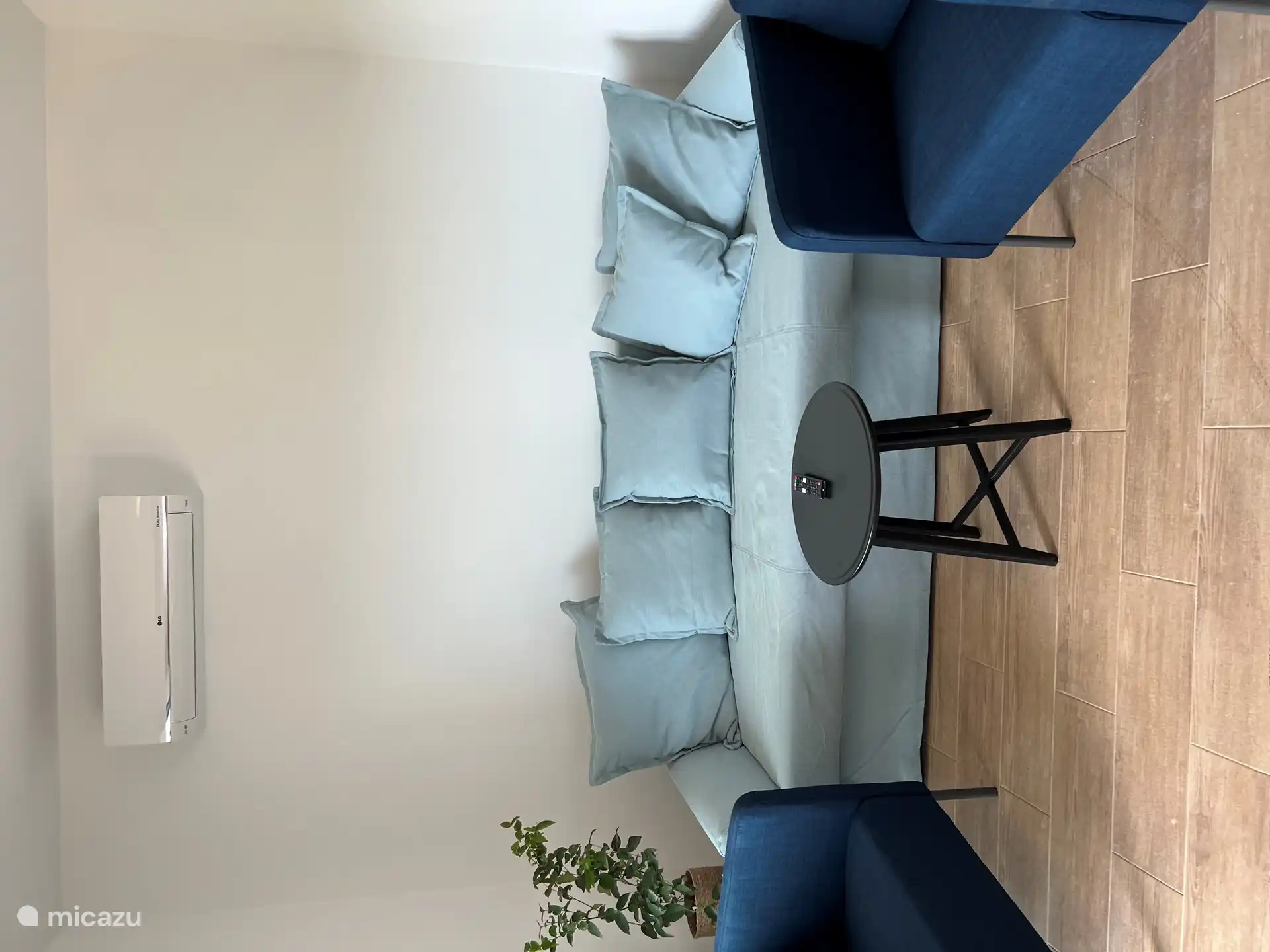 Sofa (soafabed) in the living room