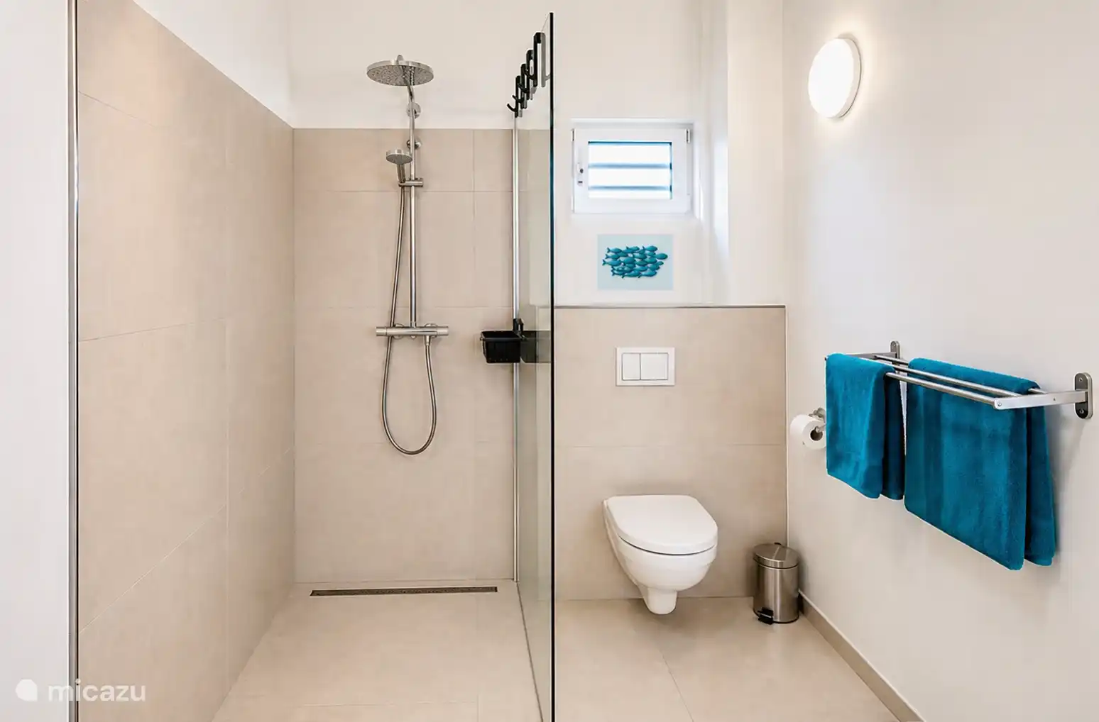 Salle de bain, douche pluie avec robinet thermostatique.
