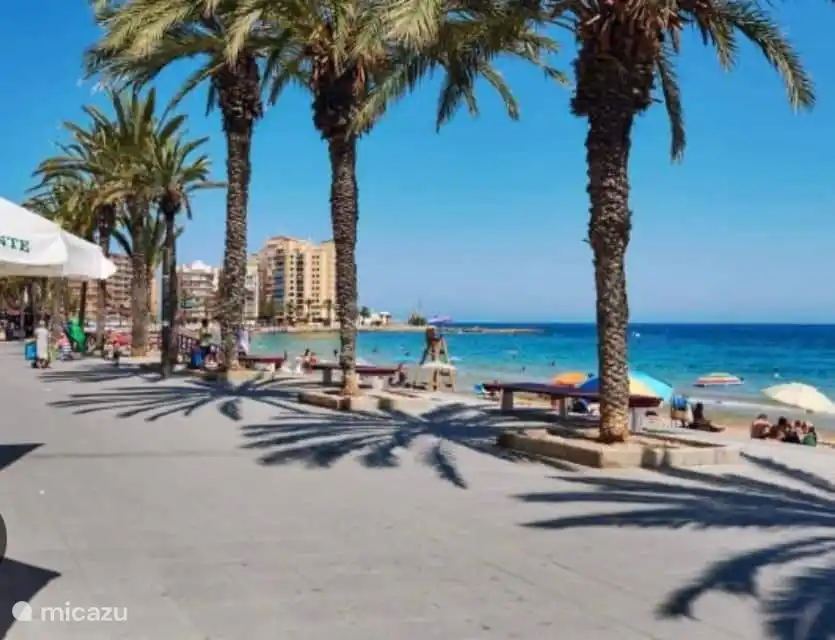 Boulevard Torrevieja