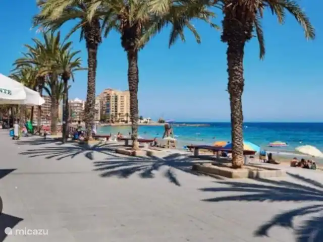 Location de Vacances Espagne, Costa Blanca, Orihuela Costa, maison de vacances - Appartement Orihuela Costa + piscine Boulevard Torrevieja