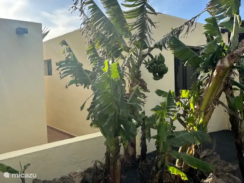 Casa de Yana | Espagne, Lanzarote, Costa Teguise - Appartement  Casa de Yana | Espagne, Lanzarote, Costa Teguise - Appartement