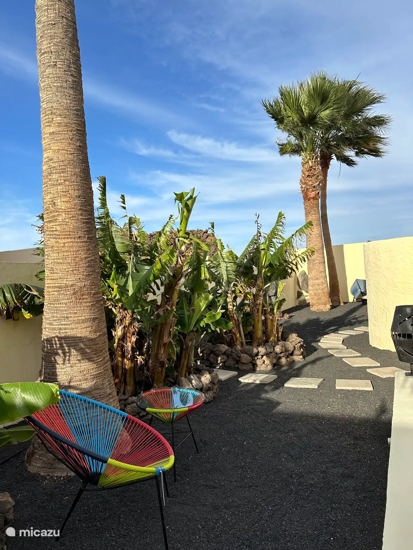 Patio trasero profundo con palmeras y plátanos