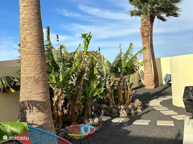 Casa de Yana | Espagne, Lanzarote, Costa Teguise - Appartement  Casa de Yana | Espagne, Lanzarote, Costa Teguise - Appartement