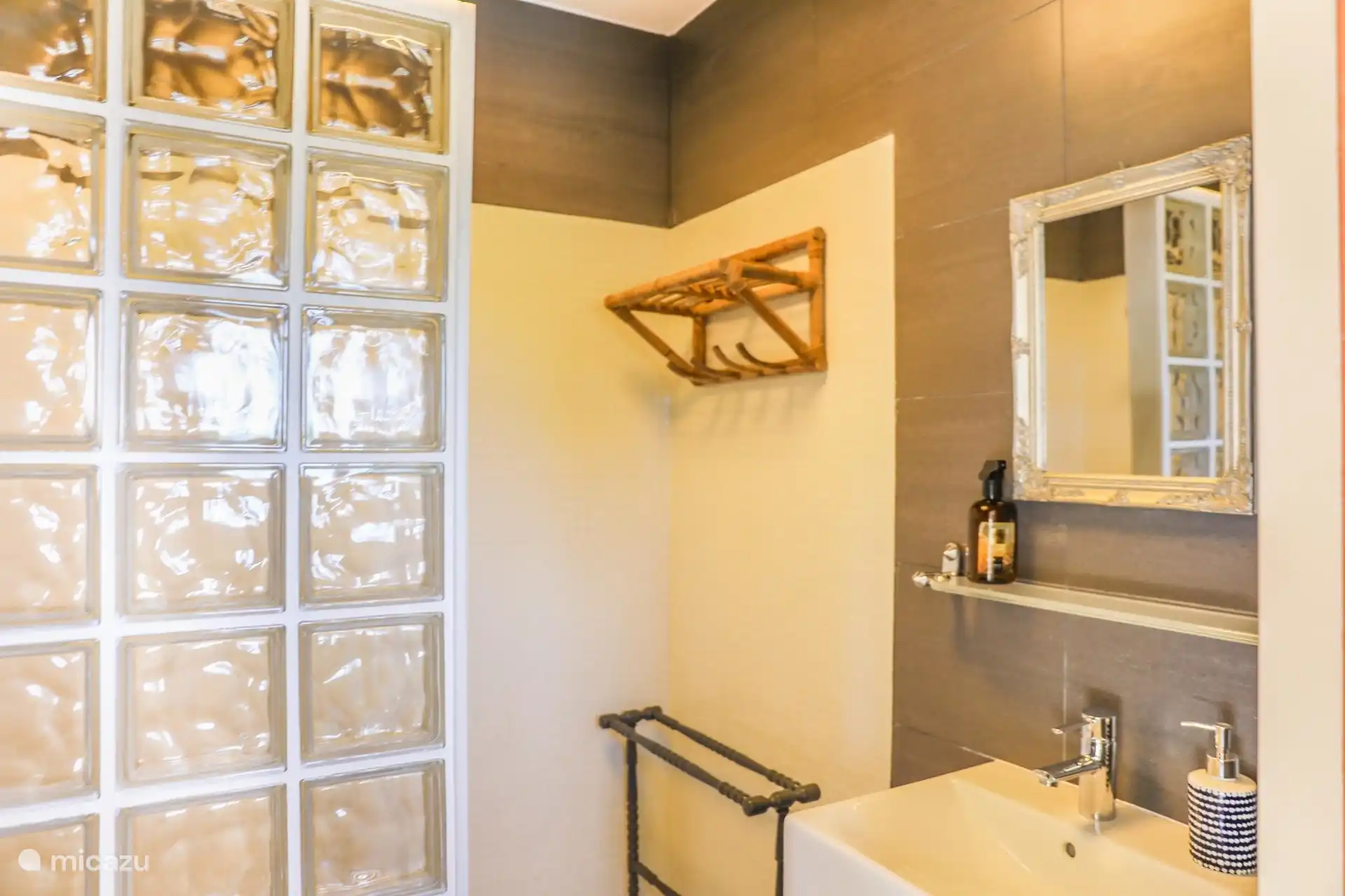 de badkamer die beneden met het appartement is verbonden. 
