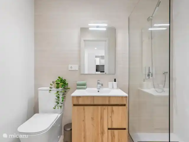 Tokai Residence Casa Arco iris huren in Spanje, Murcia, San Pedro del Pinatar - appartement De badkamer met toilet, douche en wastafel