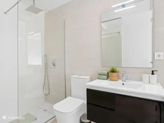 Tokai Residence Casa Arco iris huren in Spanje, Murcia, San Pedro del Pinatar - appartement badkamer met toilet, douch en wastafel