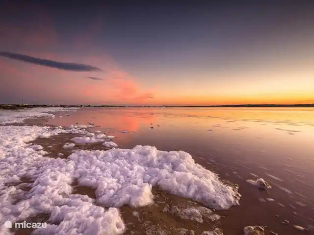 Tokai Residences Casa Sol | Espagne, Murcia, San Pedro del Pinatar - appartement Lacs salés