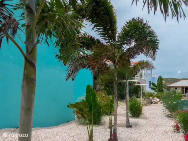 Villa Rolise *Zeezicht* huren in Curaçao, Banda Abou (west), Fontein - villa Prachtig beplante tuin