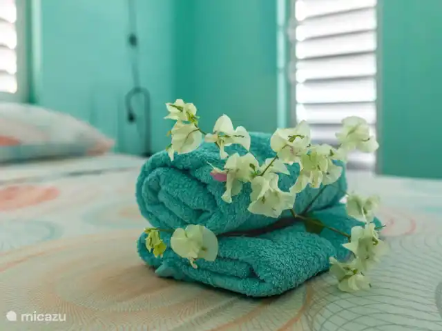 Villa Rolise *Zeezicht* huren in Curaçao, Banda Abou (west), Fontein - villa Deco @ Rolise
