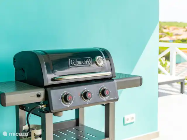 Villa Rolise *Zeezicht* huren in Curaçao, Banda Abou (west), Fontein - villa