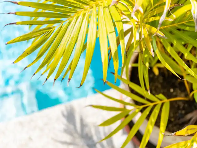 Villa Rolise *Zeezicht* huren in Curaçao, Banda Abou (west), Fontein - villa