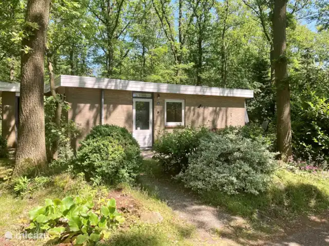 Maison de vacances Zorgvlied | Pays-Bas, Drenthe, Zorgvlied - bungalow Maison de vacances Zorgvlied | Pays-Bas, Drenthe, Zorgvlied - bungalow