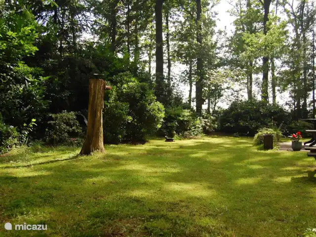 Maison de vacances Zorgvlied | Pays-Bas, Drenthe, Zorgvlied - bungalow