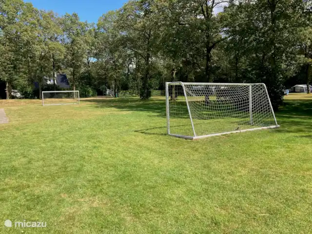 Maison de vacances Zorgvlied | Pays-Bas, Drenthe, Zorgvlied - bungalow