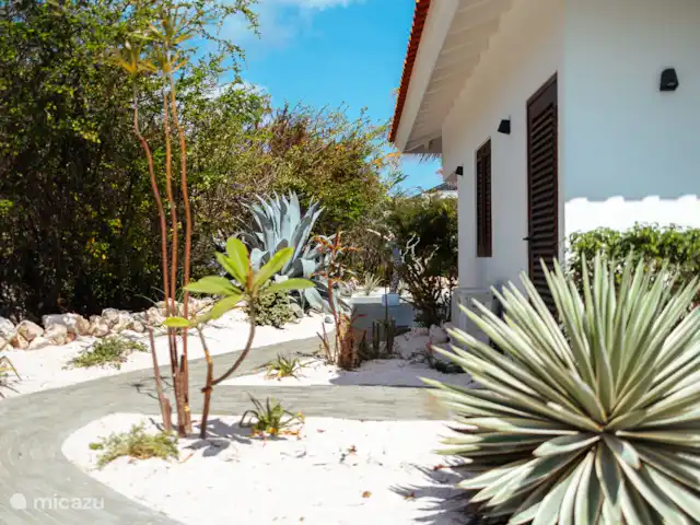 Villa Shelu | Curaçao, Banda Abou (ouest), Coral Estate, Rif St.Marie - villa Cour d’entrée