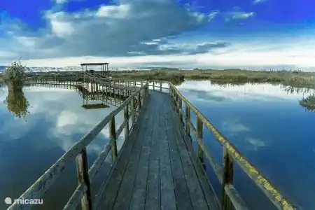 Parc naturel d’El Hondo