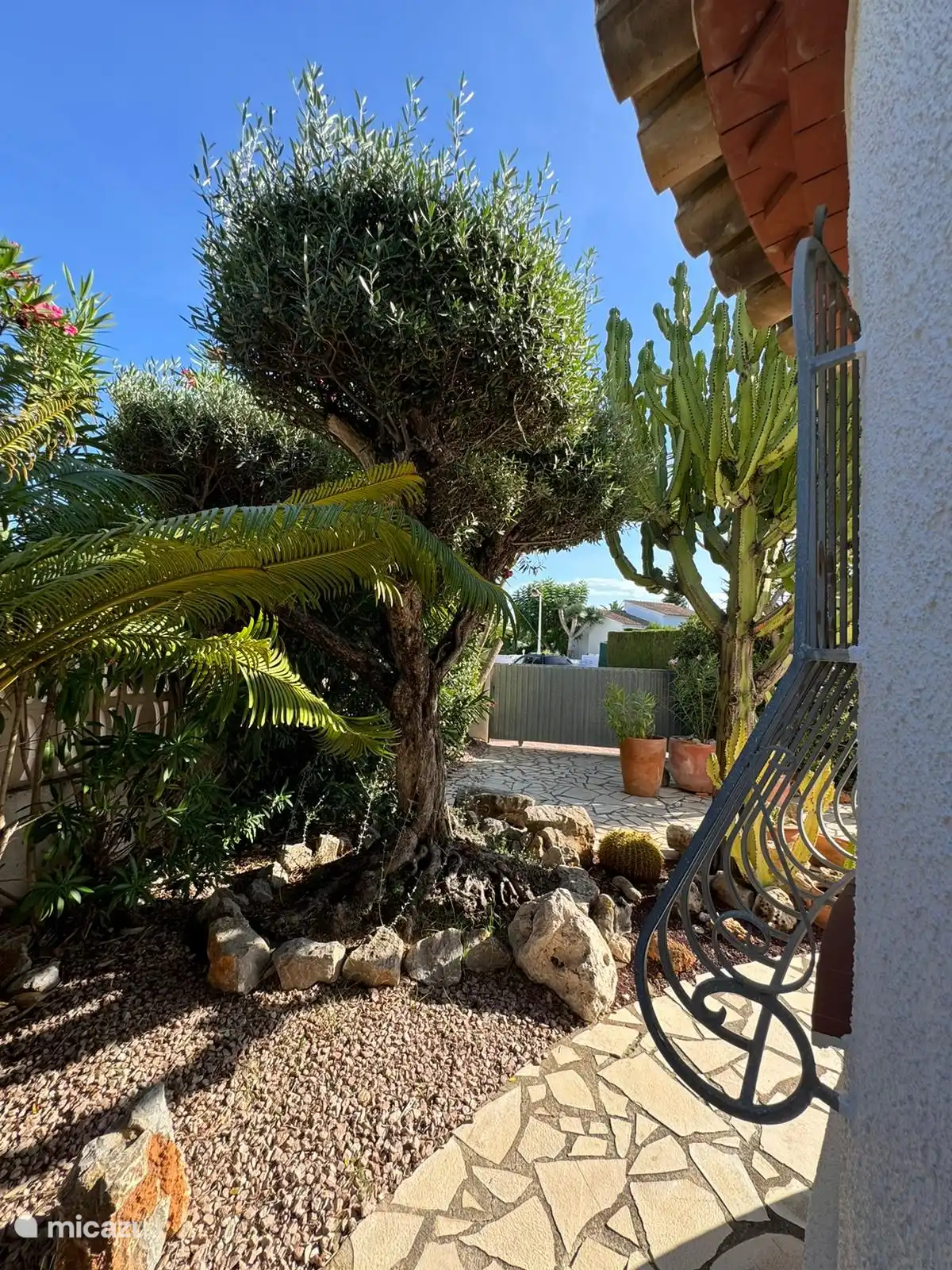 view from the side of the house