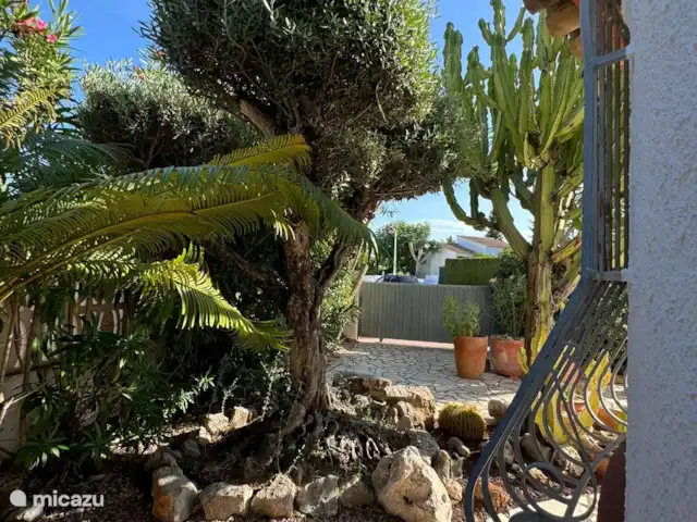 Casa Ameling huren in Spanje, Costa Blanca, Els Poblets - villa zicht vanaf de zijkant van de woning