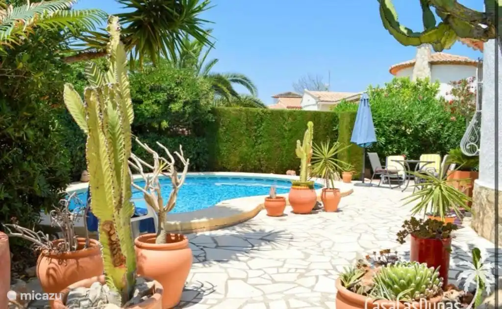 terrace and swimming pool