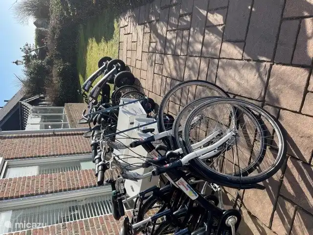 Vous pouvez également louer des vélos, des chariots et des karts au parc.