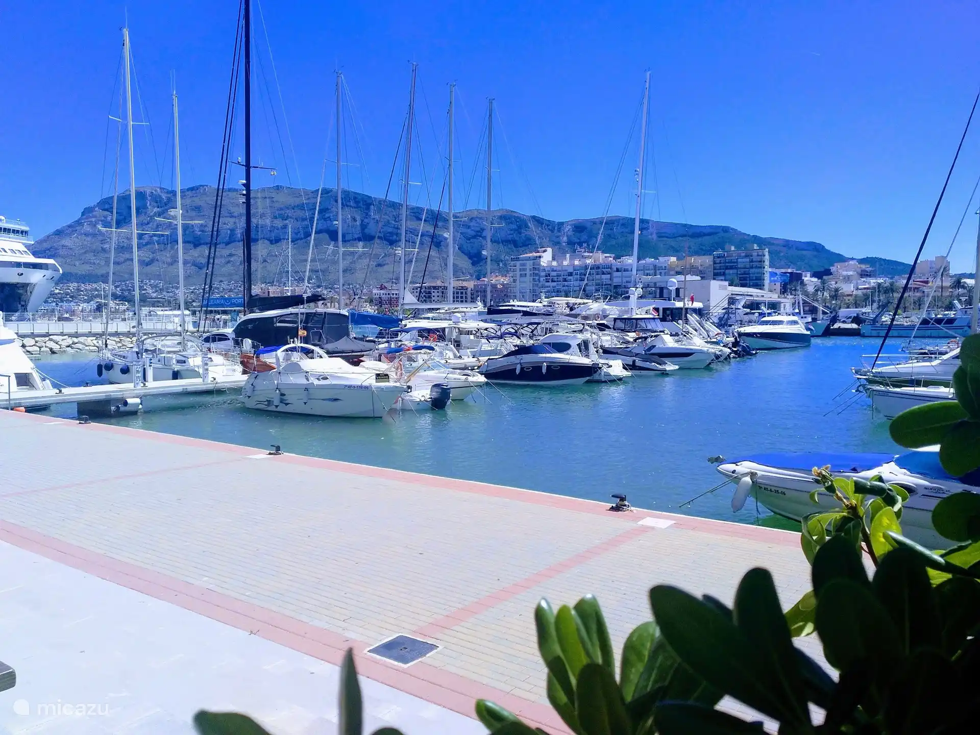 Le port de Denia
