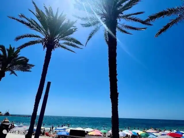 Location de Vacances Espagne, Costa Blanca, Orihuela Costa, appartement - Casa Up Palmiers