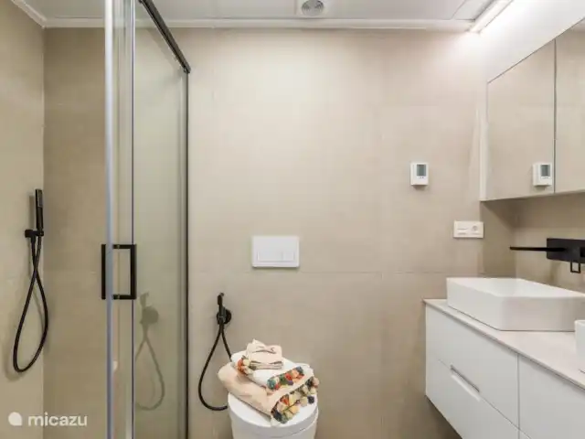Appartement Elegance El Puerto | Espagne, Costa Cálida, Lo Pagán - appartement la salle de bain avec toilettes, douche et lavabo