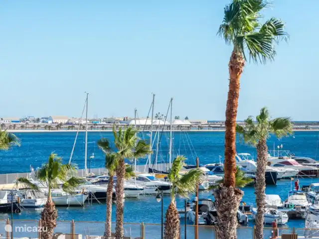 Appartement Elegance El Puerto | Espagne, Costa Cálida, Lo Pagán - appartement Le port