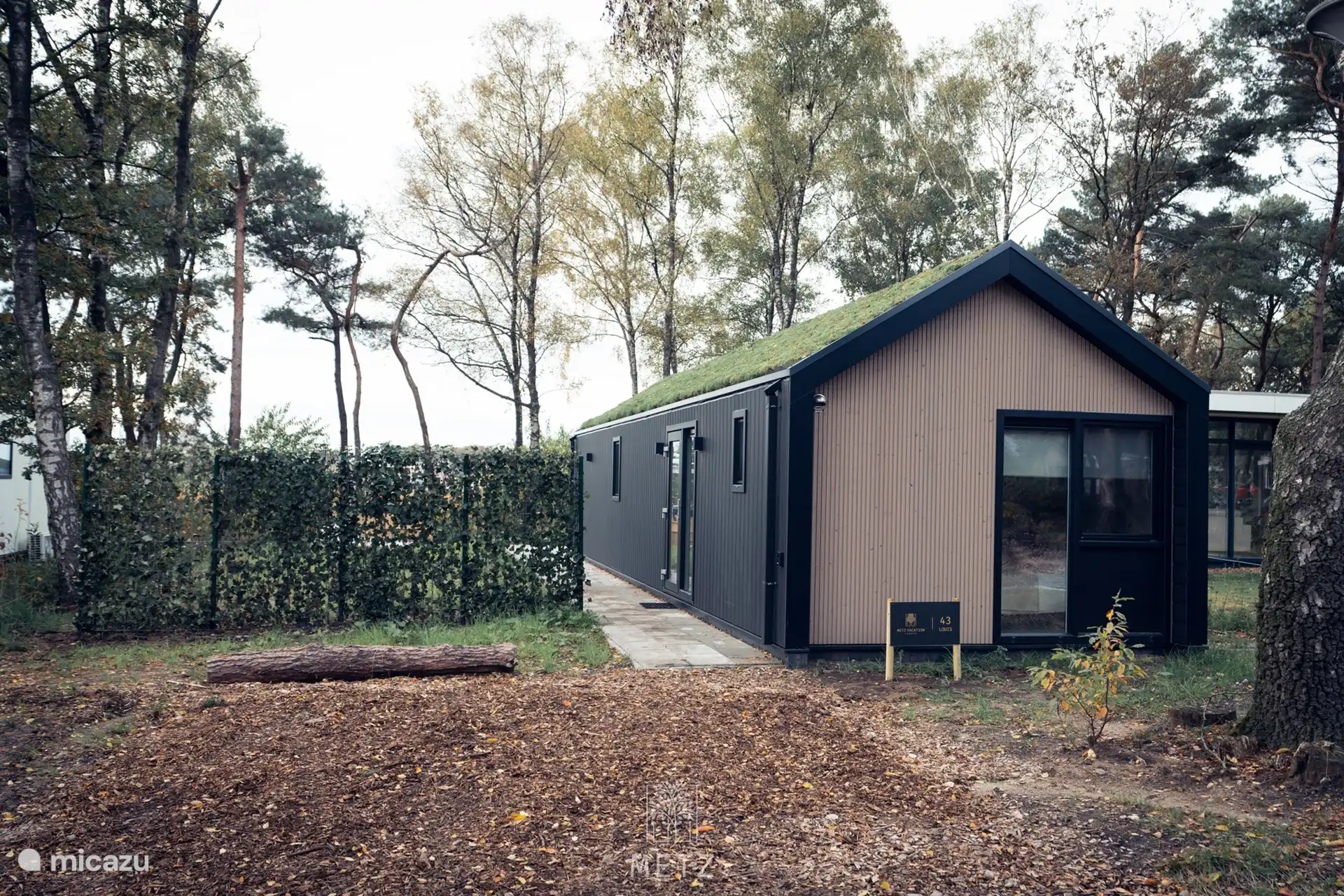 Sallandse Boslodge Whirlpool Louis in Niederlande, Overijssel, Haarle - Chalet