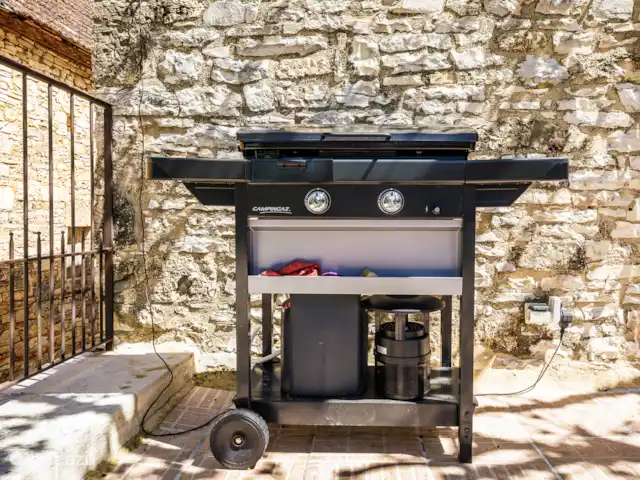 Lantisse | France, Dordogne, Degagnac - maison de vacances Plancha