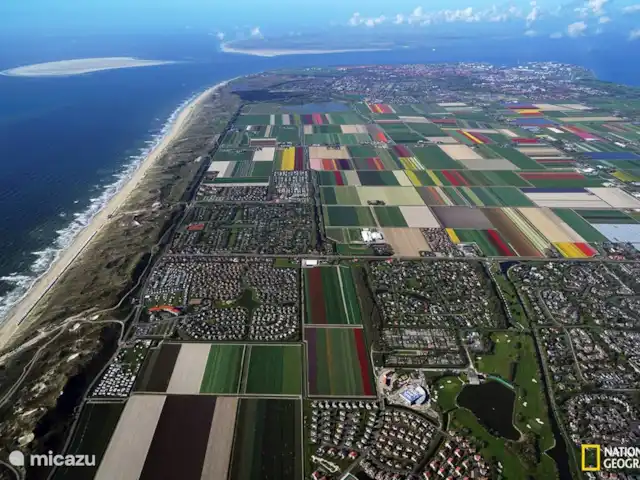 Strandparel 212 | Pays-Bas, Hollande du Nord, Julianadorp aan Zee - bungalow Vue aérienne du parc avec les magnifiques champs de bulbes à fleurs de Julianadorp aan Zee.