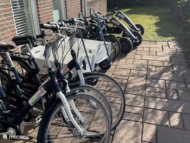 Strandparel 212 | Pays-Bas, Hollande du Nord, Julianadorp aan Zee - bungalow Vous pouvez également louer des vélos, des chariots et des karts au parc.
