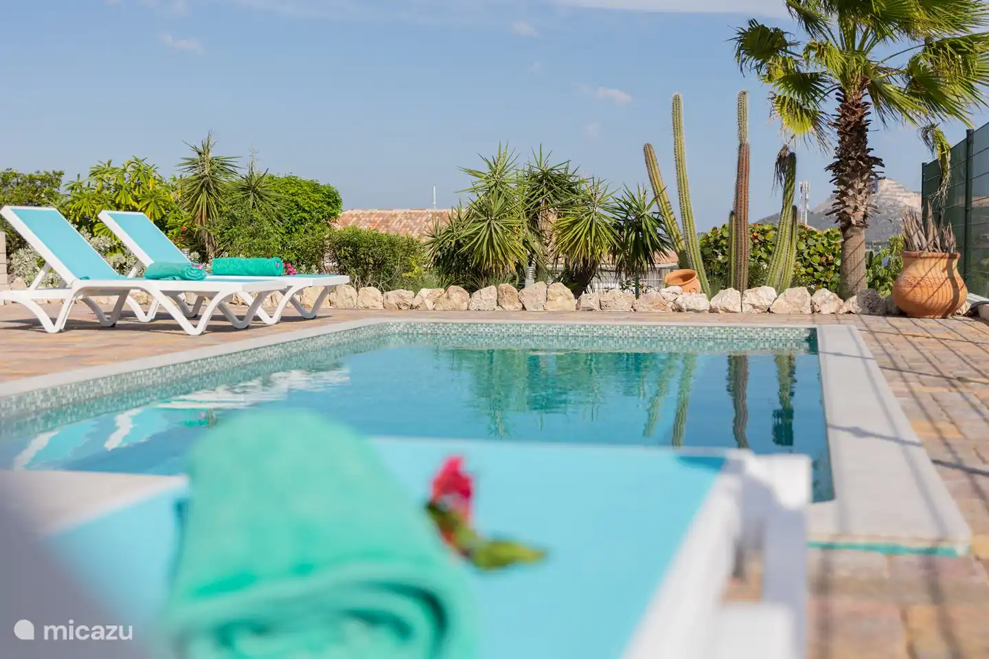 Rez-de-chaussée : Piscine