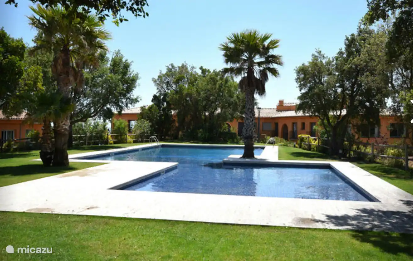 Das wunderschön angelegte tropische Schwimmbad