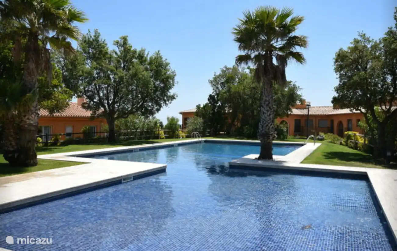 Kühlen Sie sich im schönen Swimmingpool ab