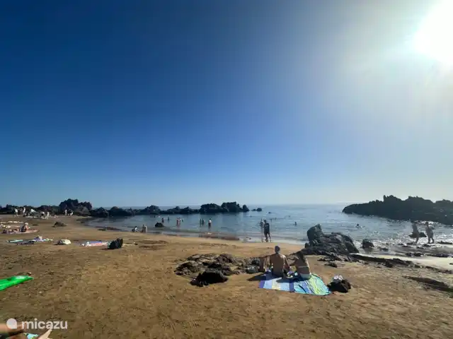 El Girasol de Yana | Espagne, Lanzarote, Puerto del Carmen - appartement Playa Chica, paradis pour les plongeurs et les plongeurs en apnée en raison de la multitude de poissons. Principalement des locaux