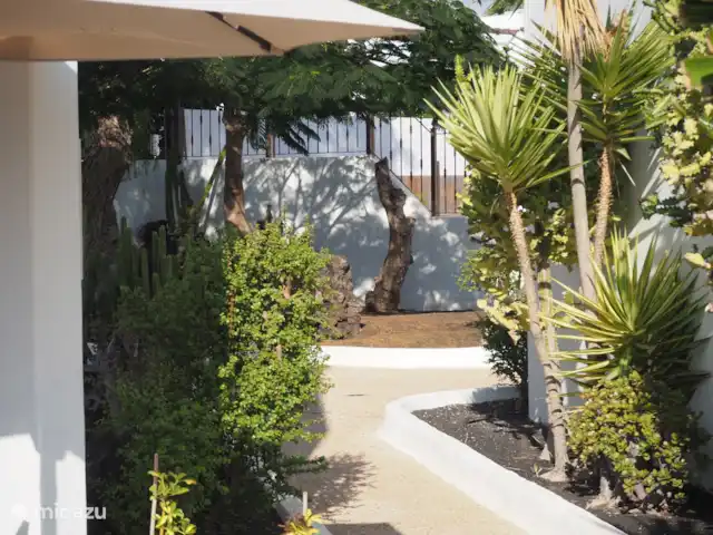 El Girasol de Yana | Espagne, Lanzarote, Puerto del Carmen - appartement Chemin à côté de l’appartement