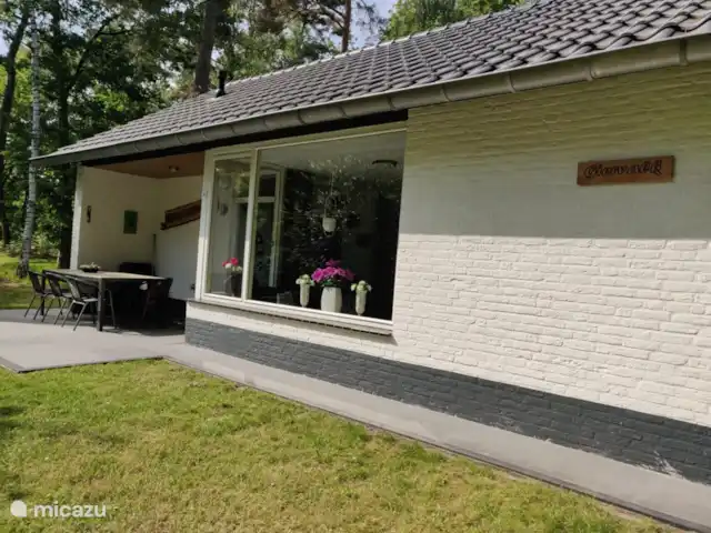 Halcón gerifalte 36 en Países Bajos, Limburgo, Stramproy - bungaló Bungalow delantero