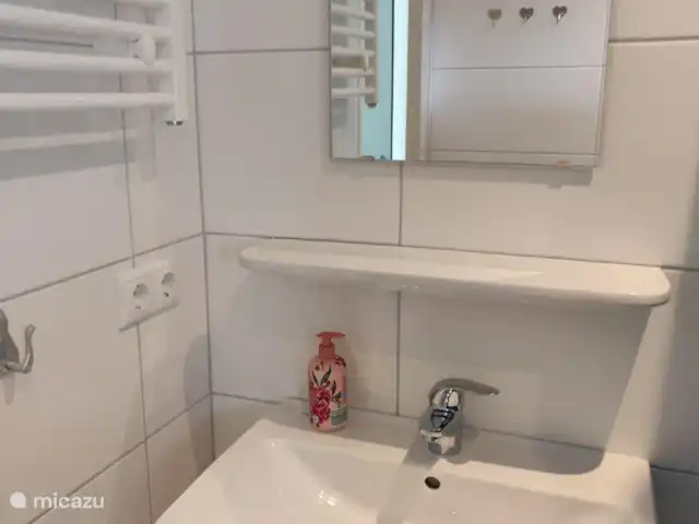 Halcón gerifalte 36 en Países Bajos, Limburgo, Stramproy - bungaló Baño