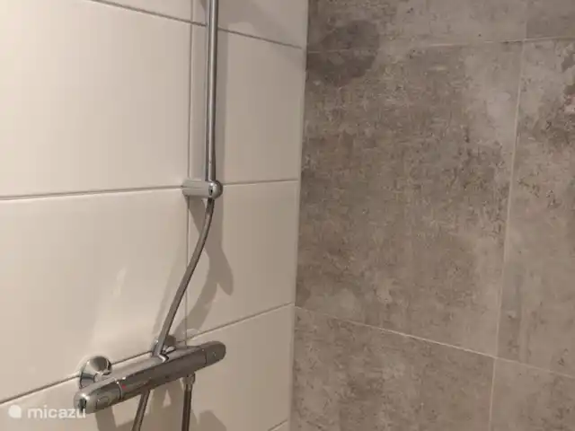 Halcón gerifalte 36 en Países Bajos, Limburgo, Stramproy - bungaló Baño