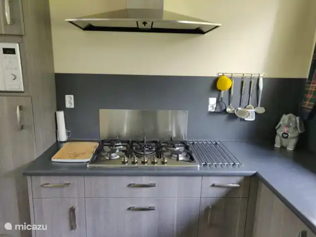 Halcón gerifalte 36 en Países Bajos, Limburgo, Stramproy - bungaló Cocina