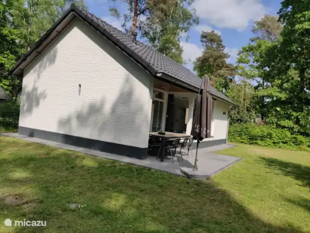 Halcón gerifalte 36 en Países Bajos, Limburgo, Stramproy - bungaló Bungalow delantero