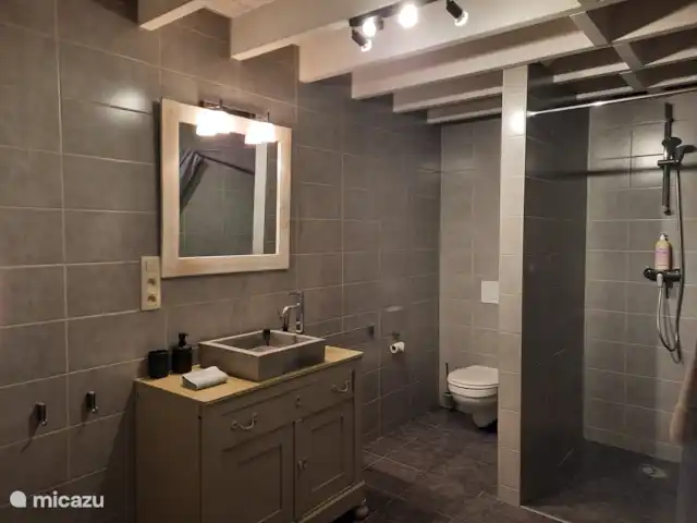 gîte / cottage huren in België, Ardennen, Vielsalm – Koekoelavache