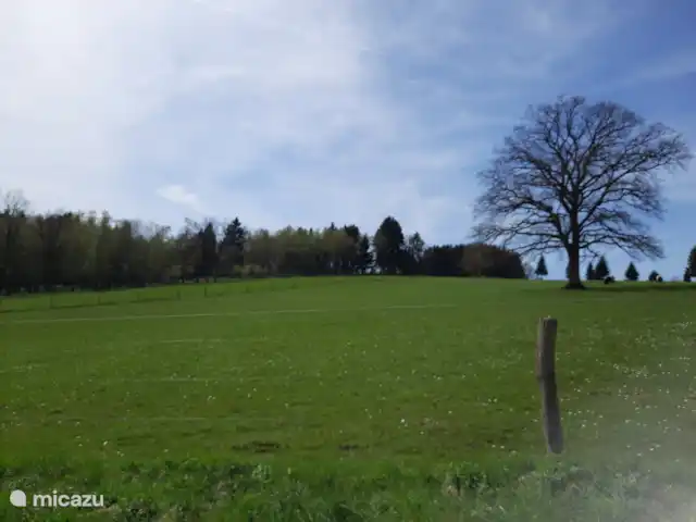 gîte / cottage huren in België, Ardennen, Vielsalm – Koekoelavache