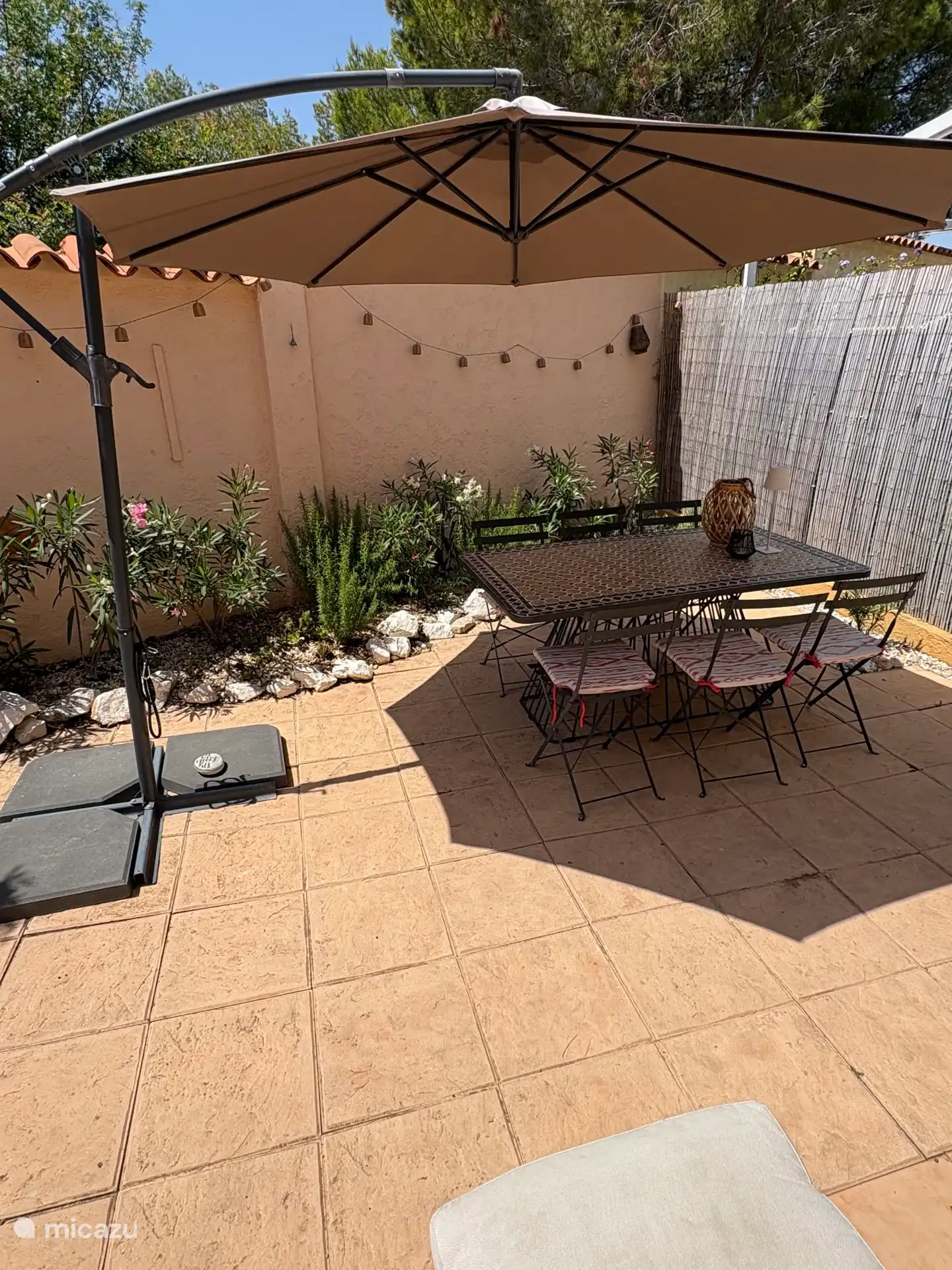 Patio trasero
