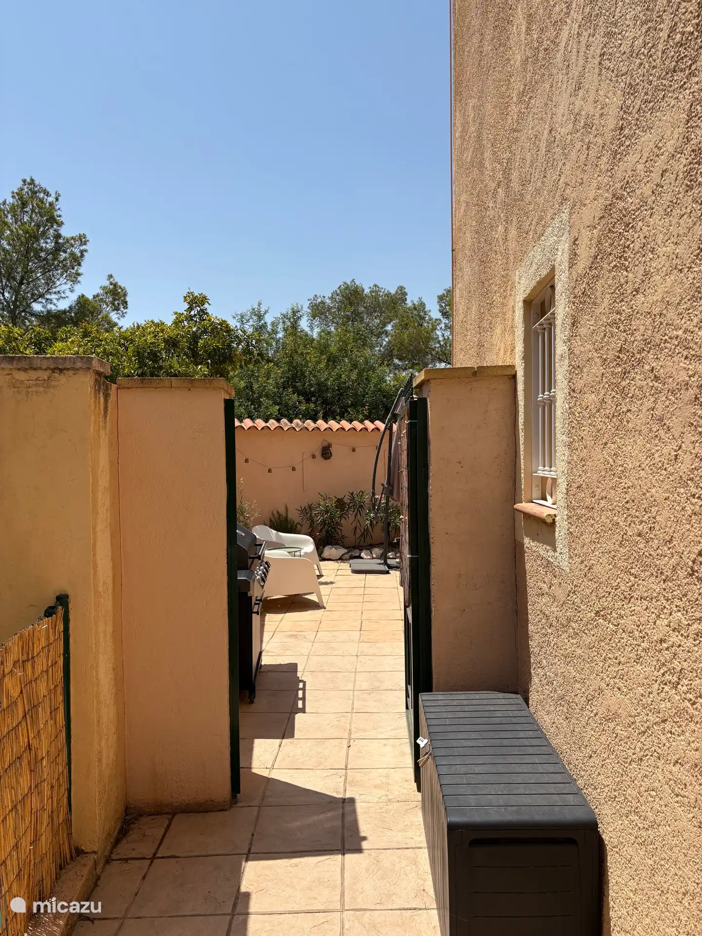 side garden