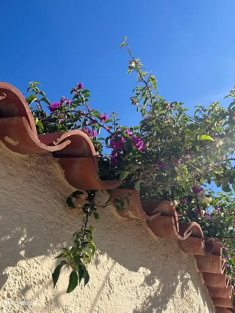 Garten auf der Rückseite mit Sonnenliegen und großem Tisch